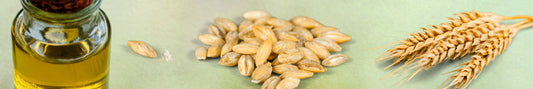 Wheat Seed Oil