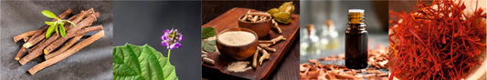 Saffron Flower, Sandalwood Oil, Ashwagandha Root Extract, Bakuchiol, Licorice Root Extract Together - Benefits, Uses, Side Effects and Many More