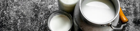 Cow Milk - Uses, Benefits, Side Effects and Many More