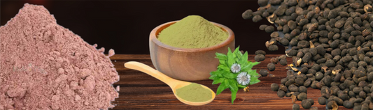 Dhataki, Nagarmotha, Bakuchi, Bhringraj: Biossential's Fantastic-4 for Hair Care