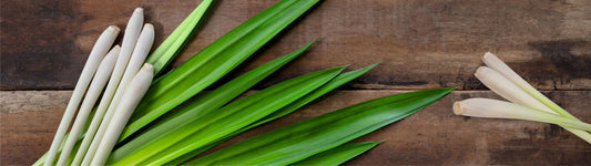 Lemongrass - Uses, Benefits, Side Effects and Many More