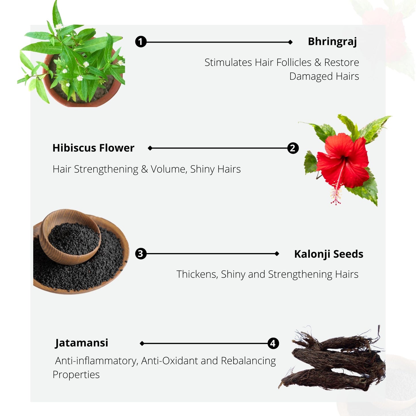 Biossential Saghana Bhringraj, Japapatti & Shikakai Hair Cleanser