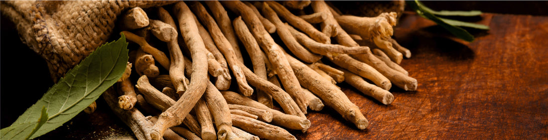 Ashwagandha - Uses, Benefits, Side Effects and Many More