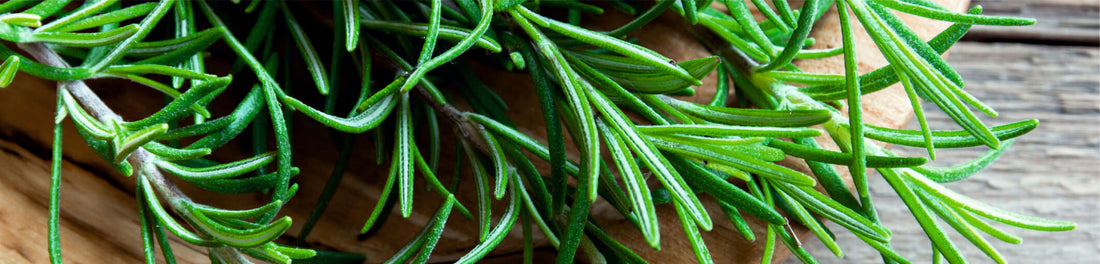 Uses and Benefits of Rosemary Leaf in Skincare