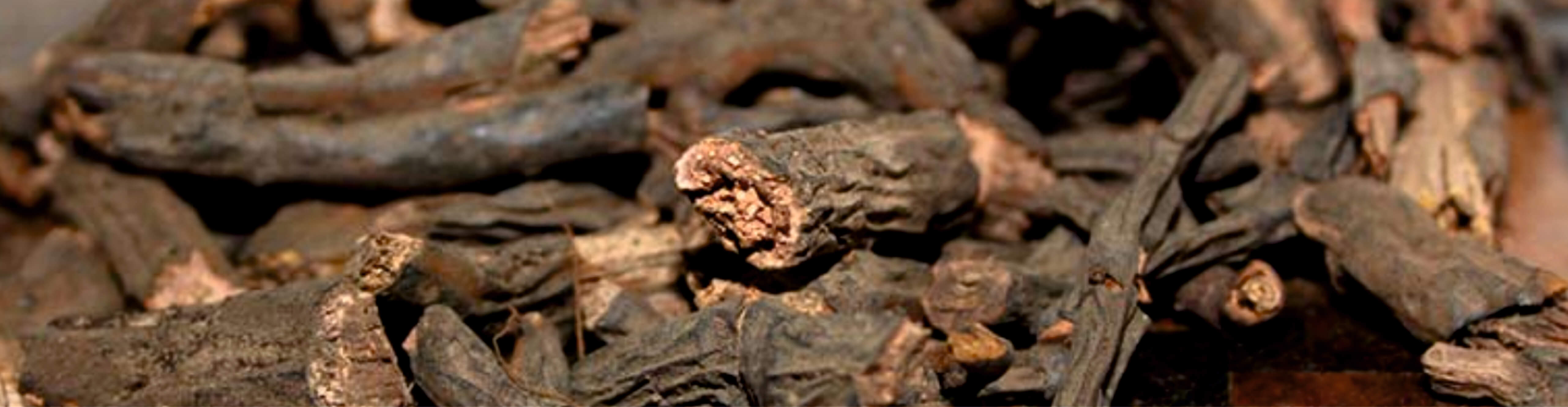 Anantmool Root Extract- Uses, Benefits, Side Effects and Many More ...
