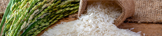 Rice- Uses, Benefits, Side Effects and Many More 