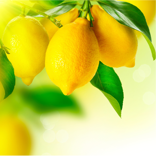 Lemon -Biossential 100% Certified Organic Skin Care Products